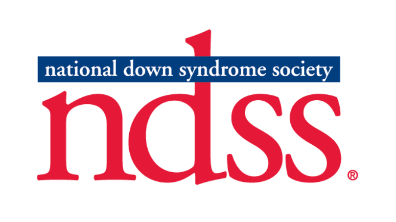 ndss logo
