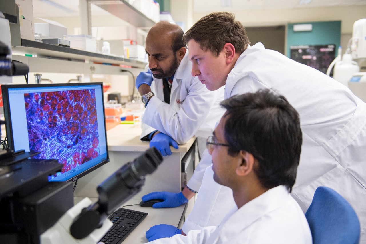 Dr. Sakthivel Sadayappan, on left, in cardiovascular research lab