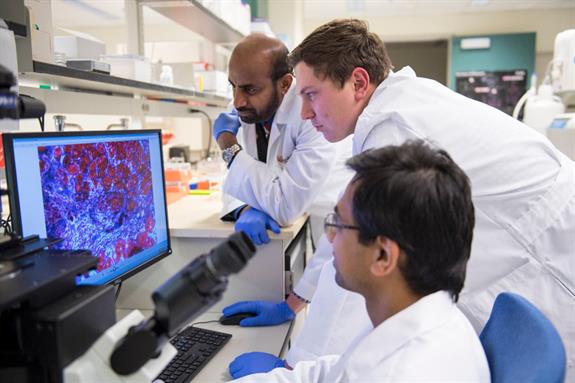 SadayappanSakthivelLab_ahc121119 Dr. Sakthivel Sadayappan, on left, in cardiovascular research lab