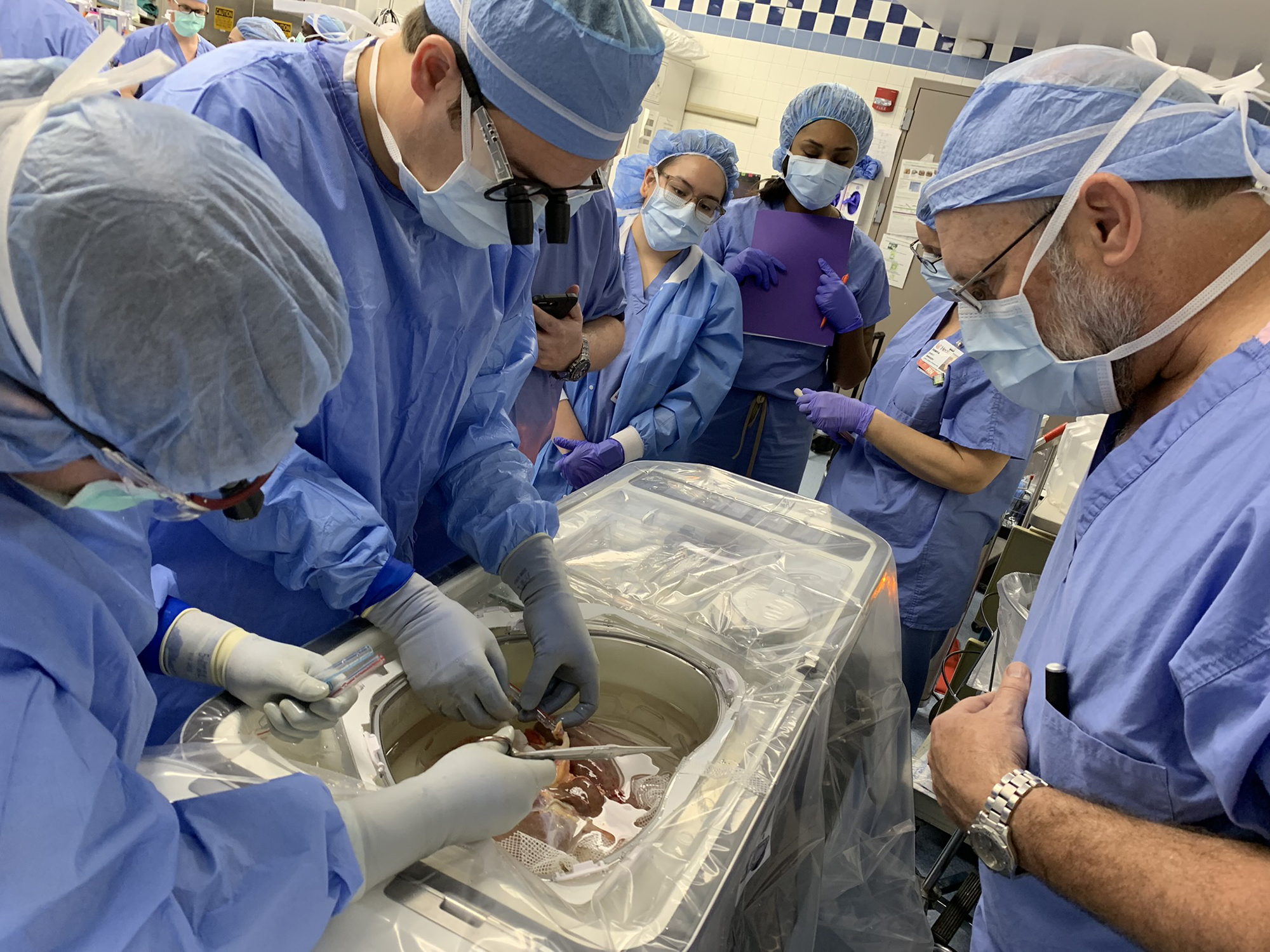 IMG_0008 Transplant surgery
